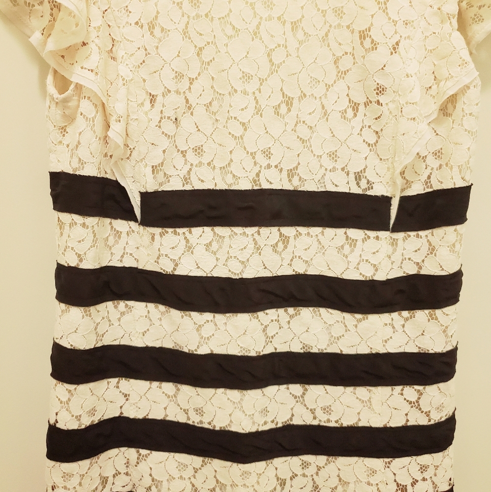 BCBGMaxAzria Renata Cap Sleeve Lacy Mini Dress - Picture 4 of 6